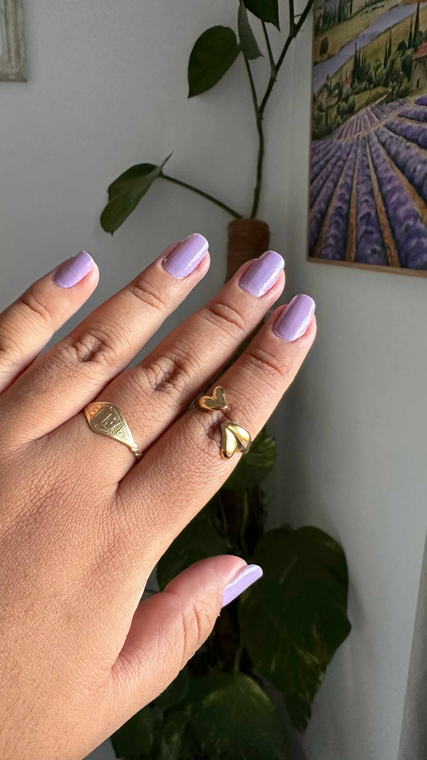 Anillo Doble corazón