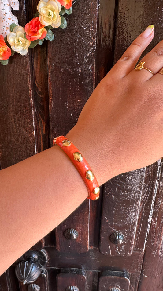 Brazalete Holanda