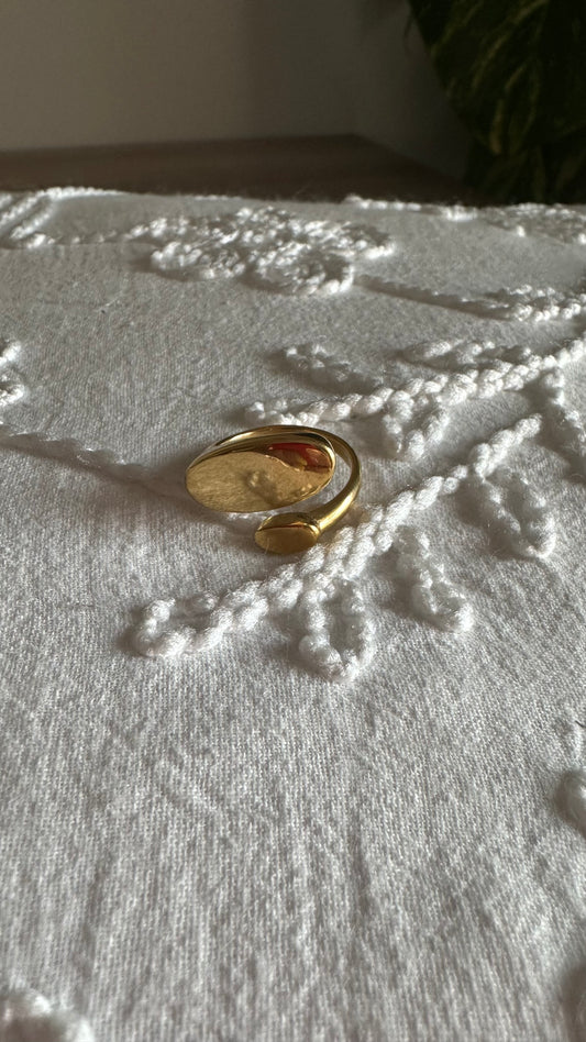 Anillo Bell