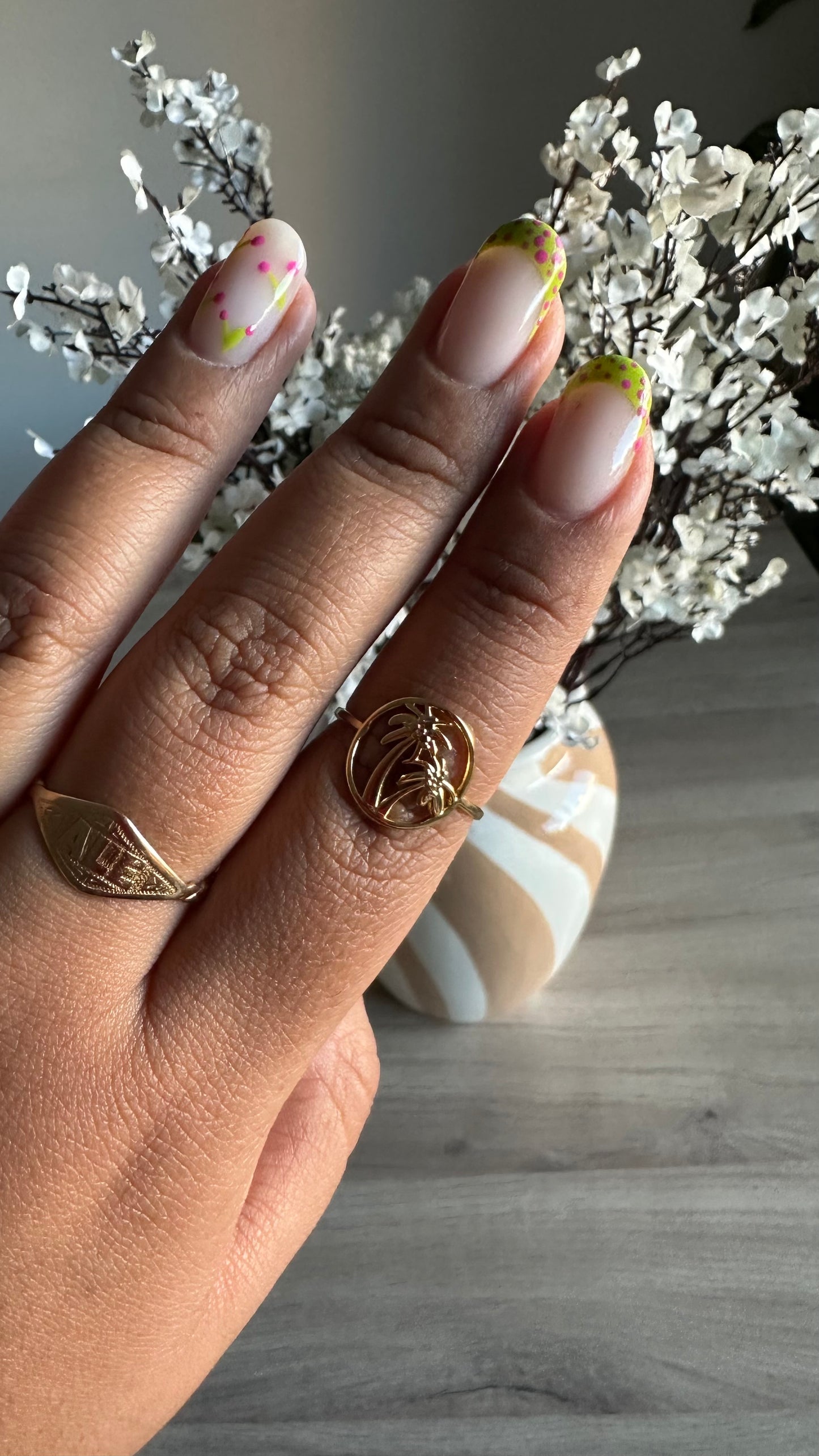Anillo Isla