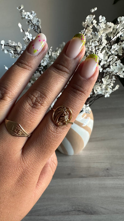 Anillo Isla