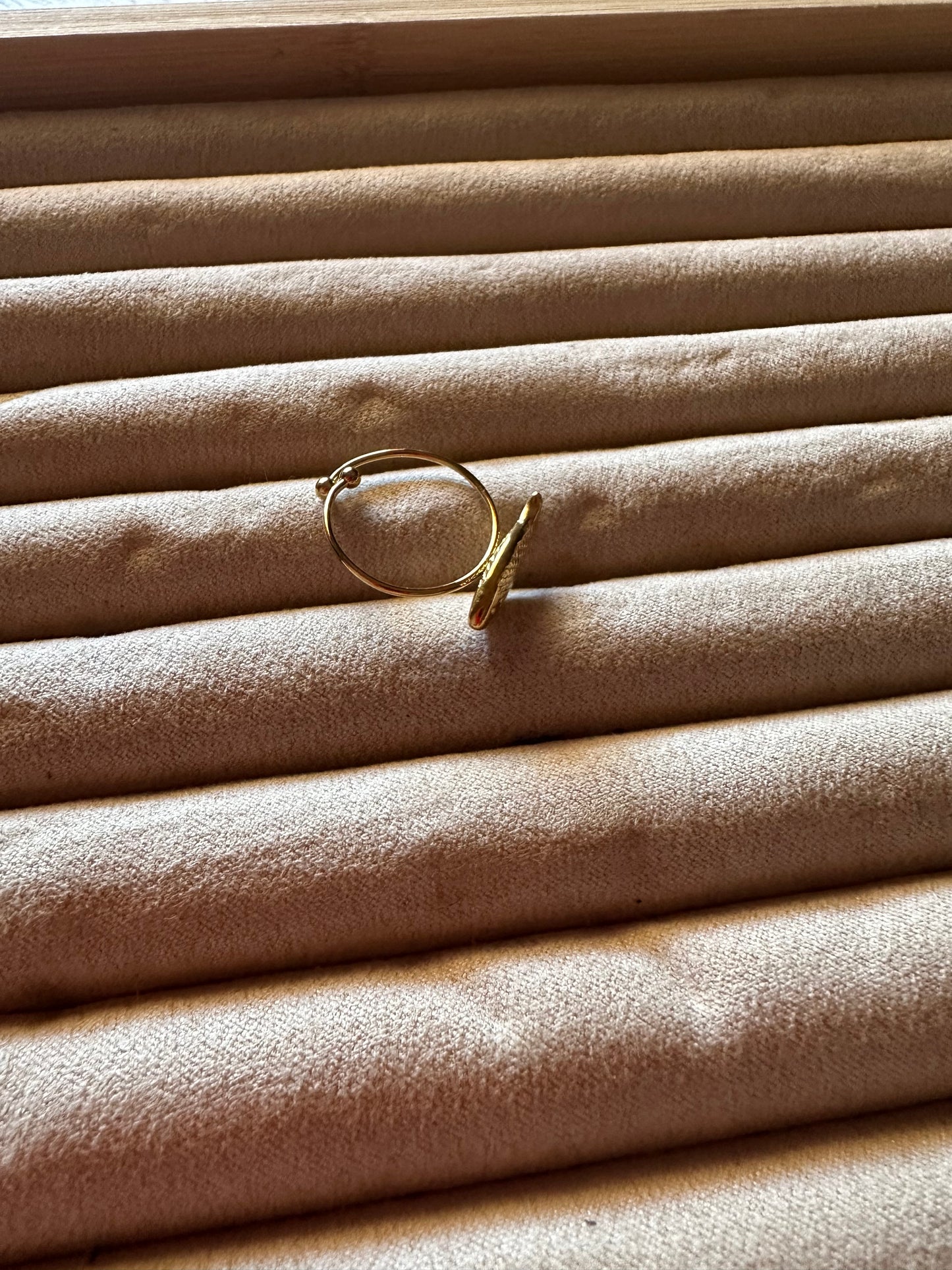 Anillo Pez