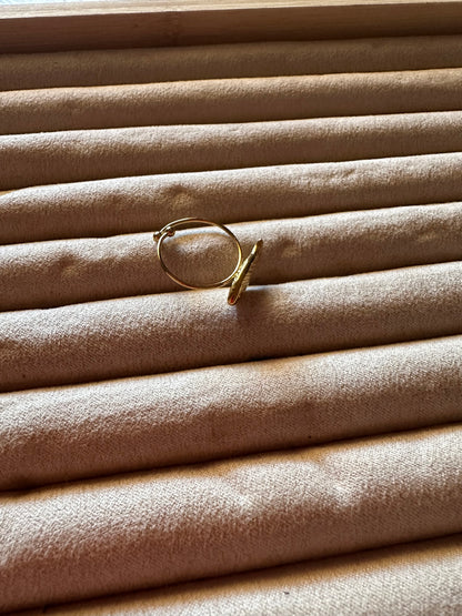 Anillo Pez