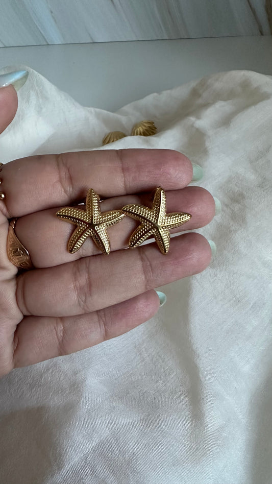 Estrella de mar