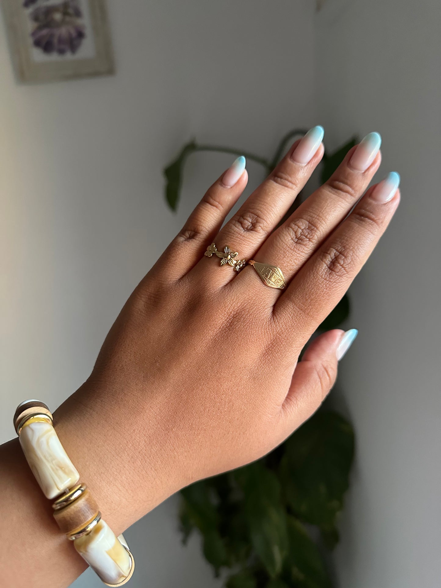 Anillo Fer