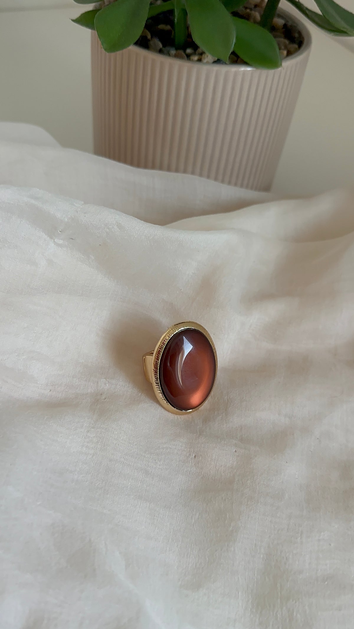 Anillo Tigre