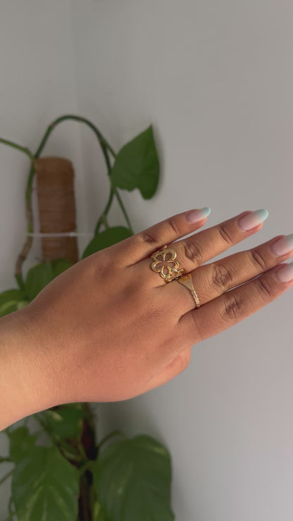 Anillo Magnolias