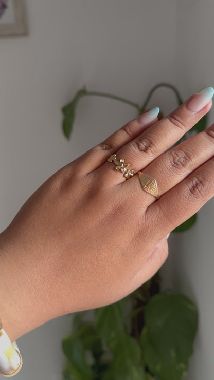 Anillo Fer