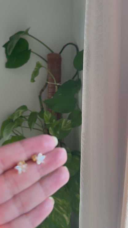 Mini estrellita