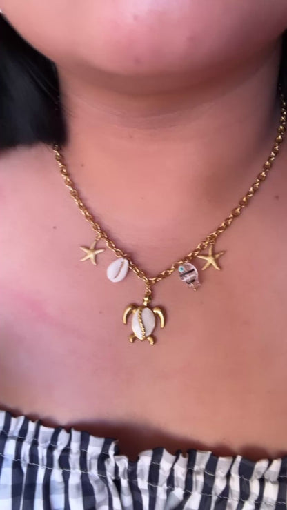 Collar tortuga mar