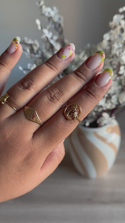 Anillo Isla