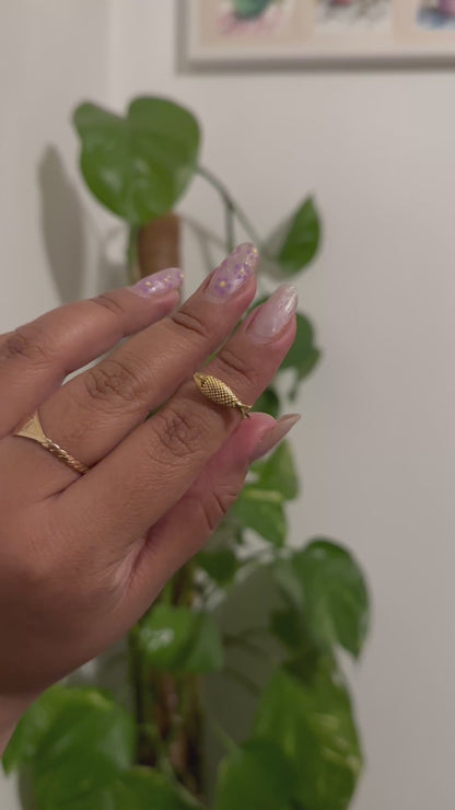 Anillo Pez