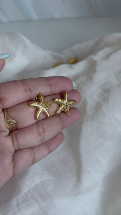 Estrella de mar